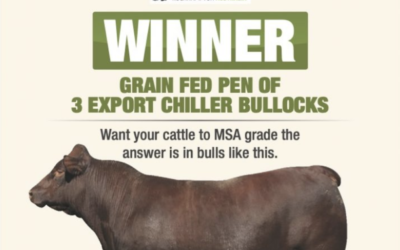 Beef 2021 National Beef Carcase Competition