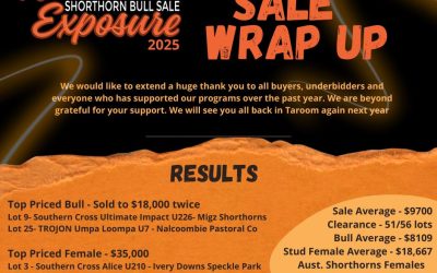 2025 Northern Exposure Shorthorn sale Results