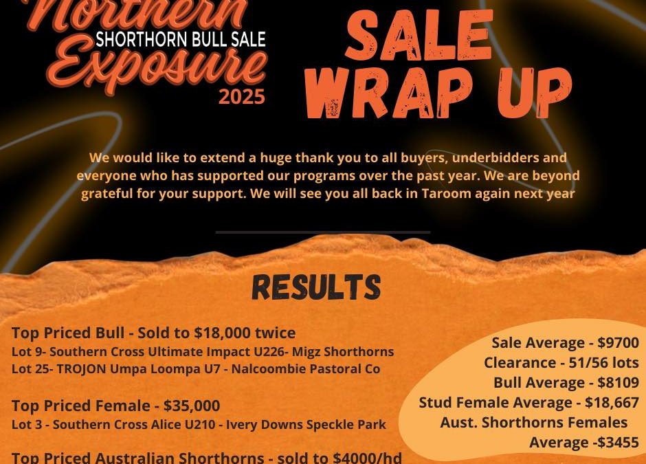 2025 Northern Exposure Shorthorn sale Results